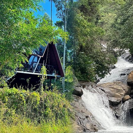Wetlands Wayanad Pool Resort With Natural Waterfalls Padinjarathara Exterior photo