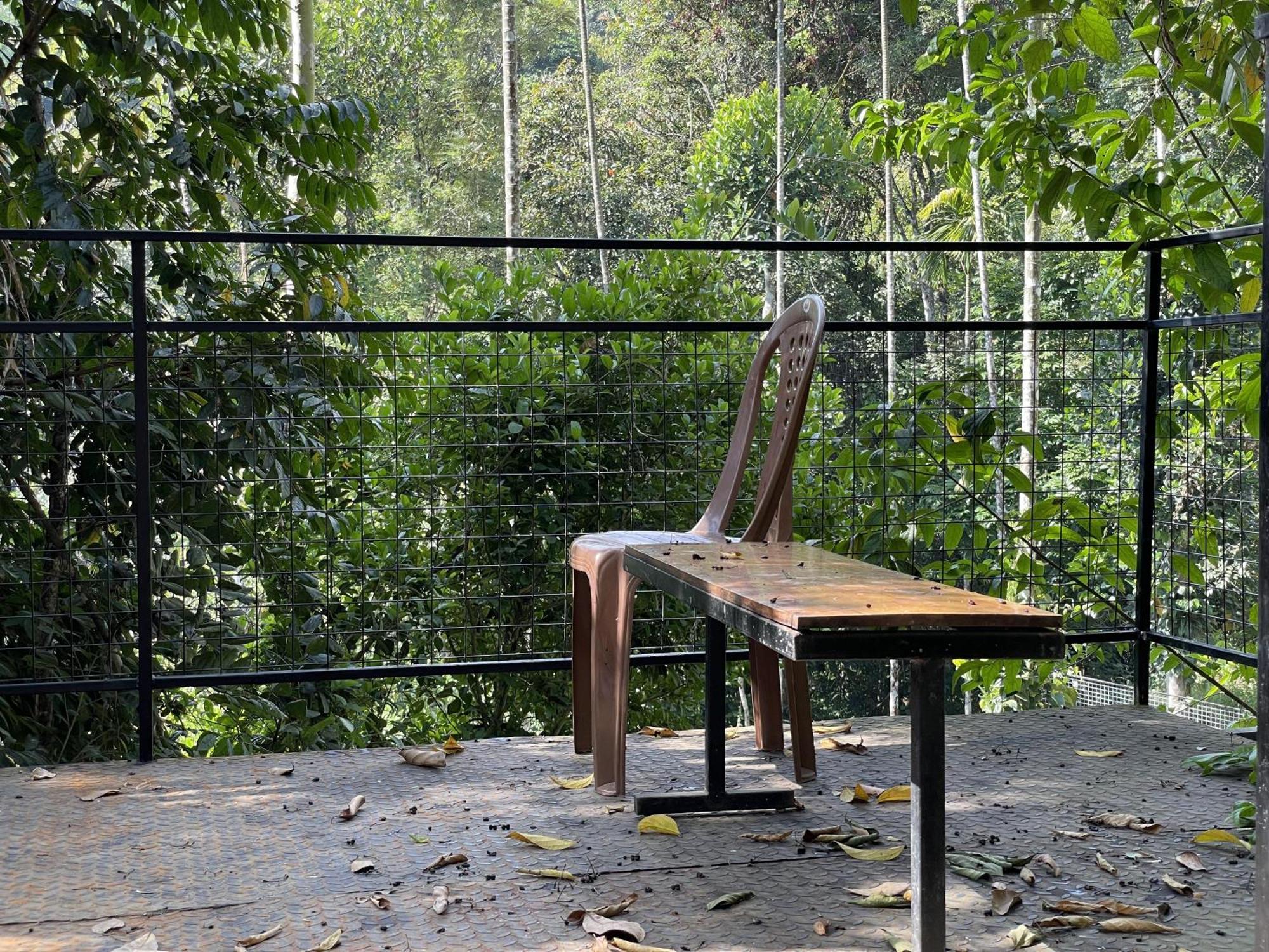 Wetlands Wayanad Pool Resort With Natural Waterfalls Padinjarathara Exterior photo
