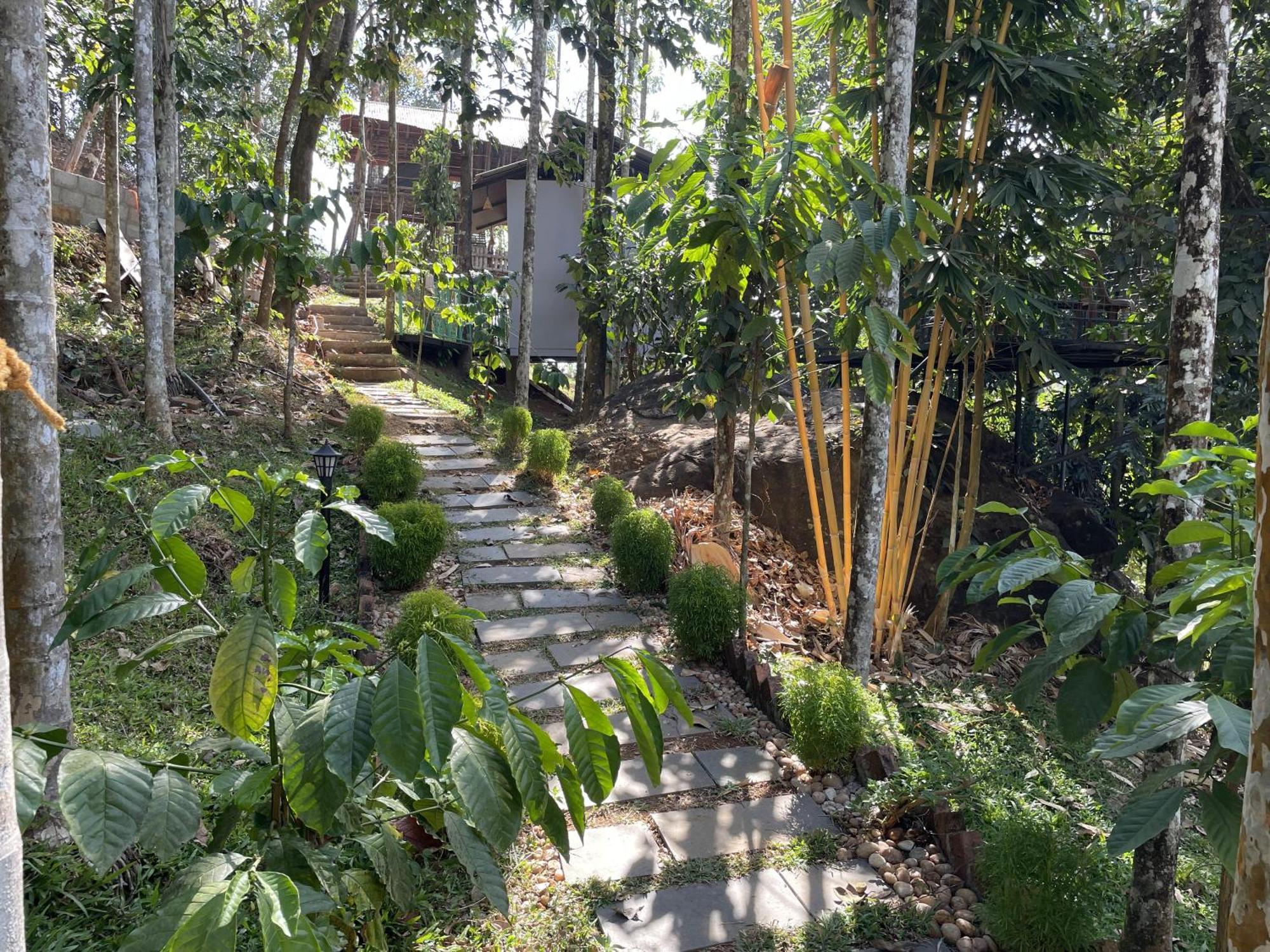 Wetlands Wayanad Pool Resort With Natural Waterfalls Padinjarathara Exterior photo