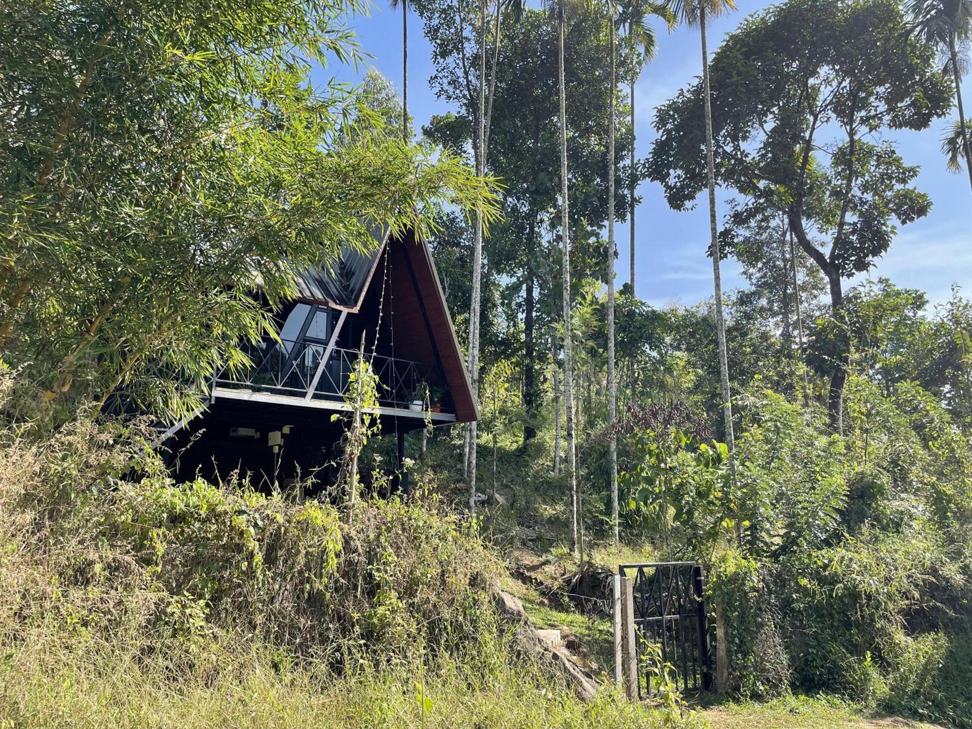 Wetlands Wayanad Pool Resort With Natural Waterfalls Padinjarathara Exterior photo