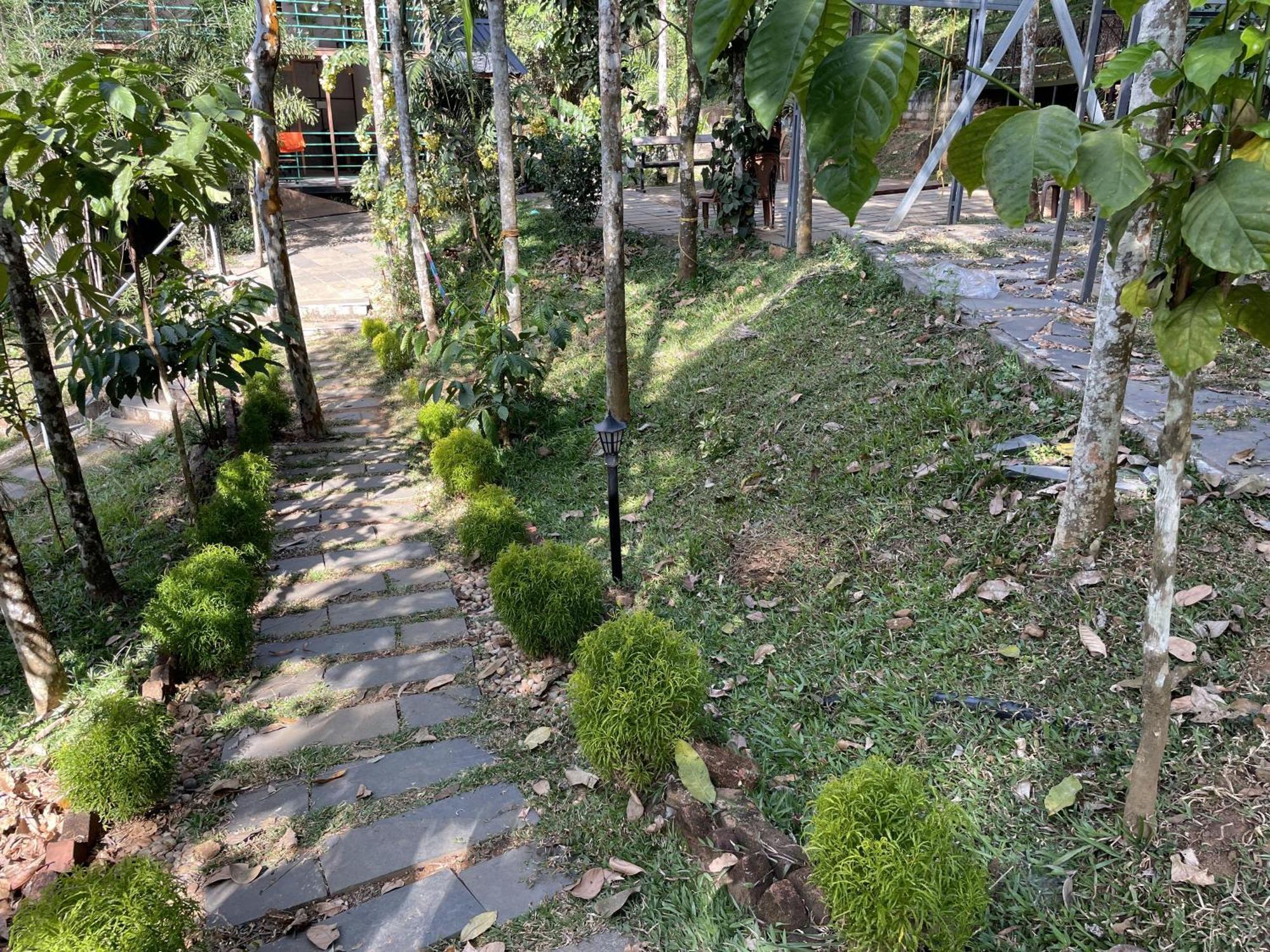 Wetlands Wayanad Pool Resort With Natural Waterfalls Padinjarathara Exterior photo