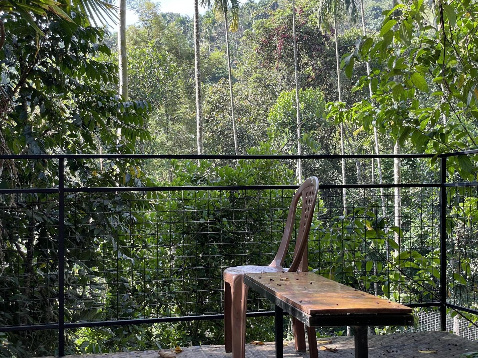 Wetlands Wayanad Pool Resort With Natural Waterfalls Padinjarathara Exterior photo